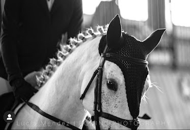 LeCocq Centro ecuestre