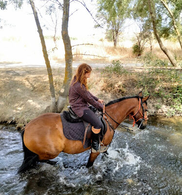 Centro Ecuestre Valdemilano