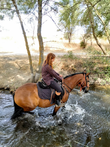 Centro Ecuestre Valdemilano