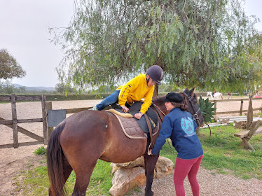 Horse Country Club Ibiza