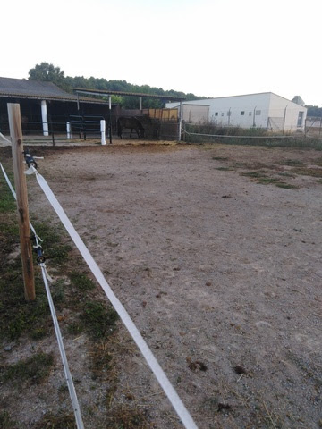 Pupil•latges Pere Mir