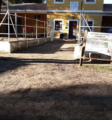 ASOCIACIoN ITA interaccion terapeutica con animales Terapias ecuestres ocio