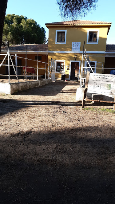 ASOCIACIoN ITA interaccion terapeutica con animales Terapias ecuestres ocio