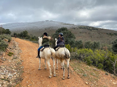 Picadero J A Escudero