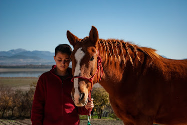 La Alegria – Experiencias a caballo