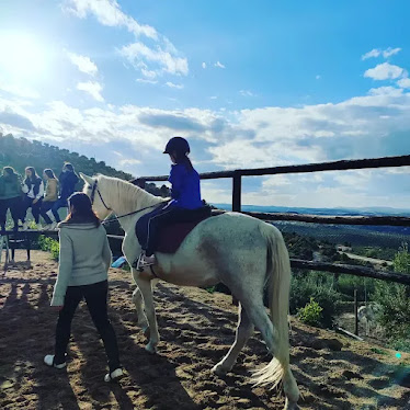 Centro Ecuestre La Estribera