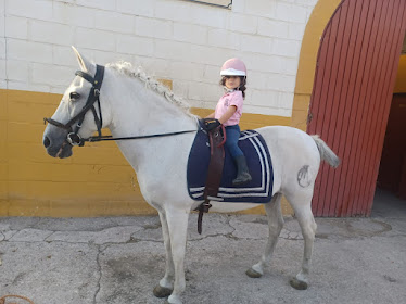 Centro Ecuestre El Montejo