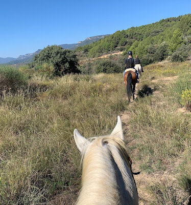 Mussara Equitaci Emocional i coaching amb cavalls