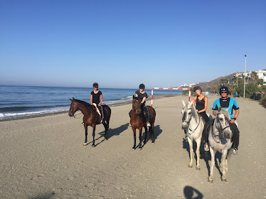 Andale Riding Centre