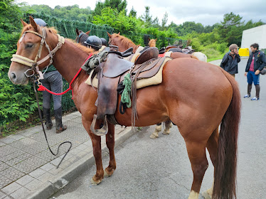 club ecuestre enkartado mendian zaldiz