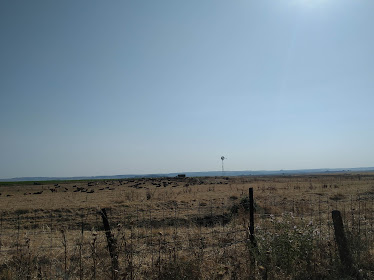 Camino de la pradera