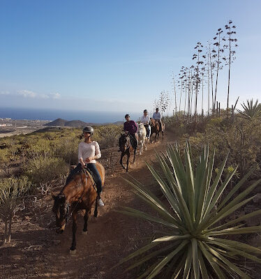 Horse Riding Adventures in Tenerife