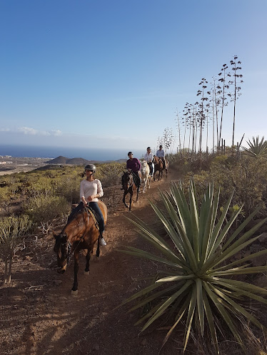 Horse Riding Adventures in Tenerife