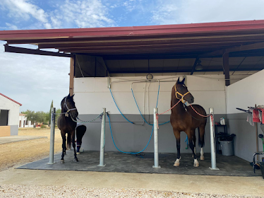 Centro Ecuestre Vistalegre