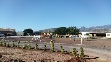 Horse Riding Finca La Bonita rescuehorses