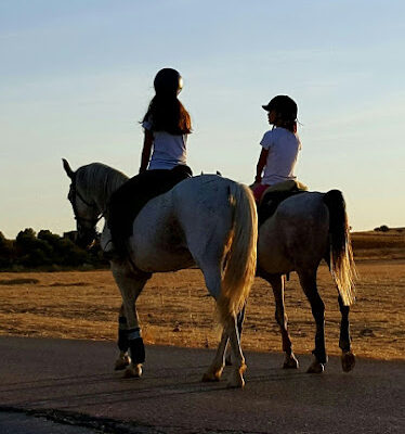 Hipica Caballos Meco