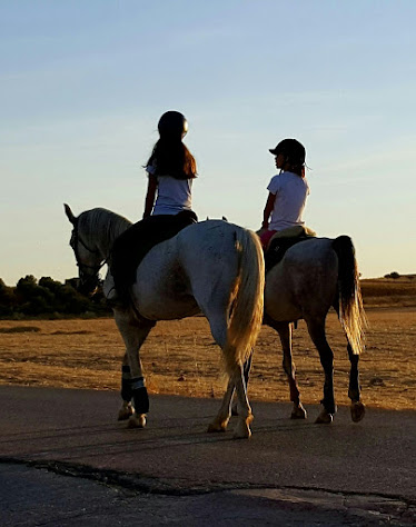 Hipica Caballos Meco