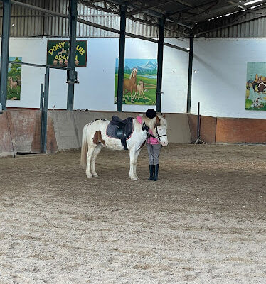 Pony club aragon