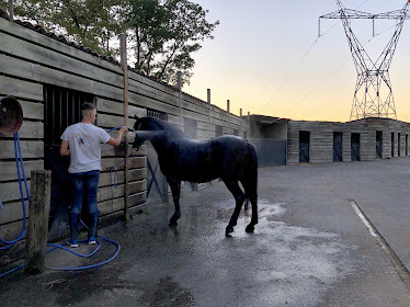 Centro Ecuestre Anduri a