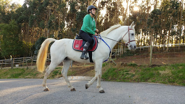 Centro De Actividades Ecuestre Comillas