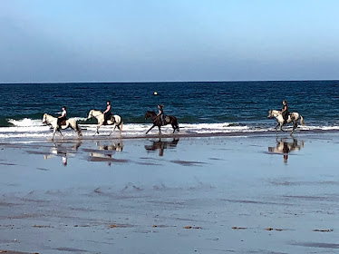 Reiterferien Andalusien Cortijo Que Cosita