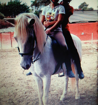 Club Hipico Los Caireles