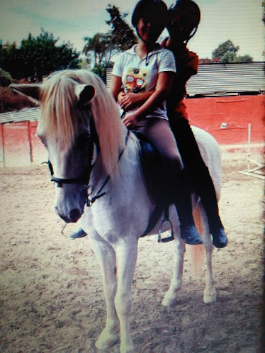 Club Hipico Los Caireles