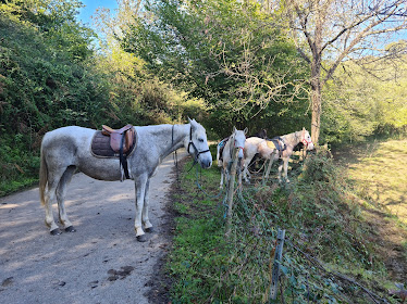 Asturias a Caballo