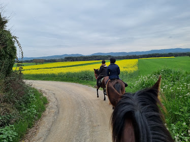 EcoSlow Experience Spain Horse Trails