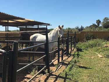 Yeguada La Patiña