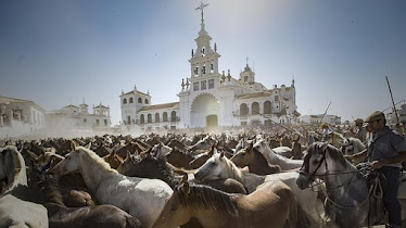 CARROS DE CABALLO Y RUTAS A CABALLO EL ROCIO