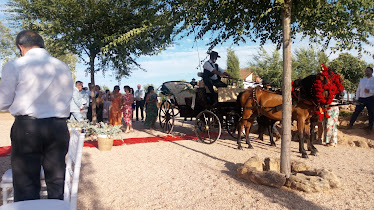 Centro Ecuestre Los Caireles