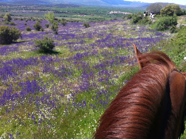 Centro Hipico Buitrago