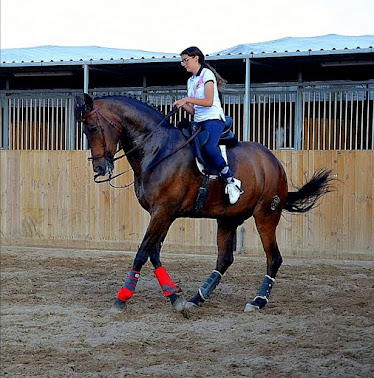 Cuadras Pepe Sanchez