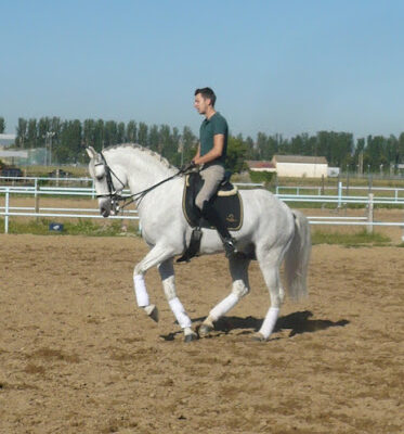 Centro Ecuestre Fernando Fernandez Dressage