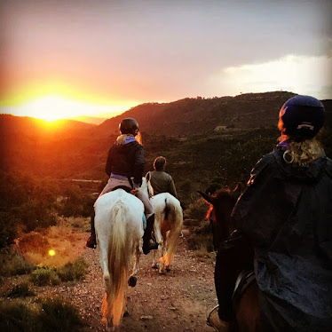 Centre Hipic Talamanca