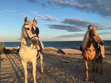 Centro Ecuestre Martinez Sospedra