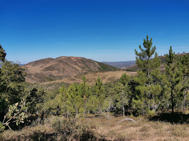 ROMERIA DEL DIVINO SALVADOR