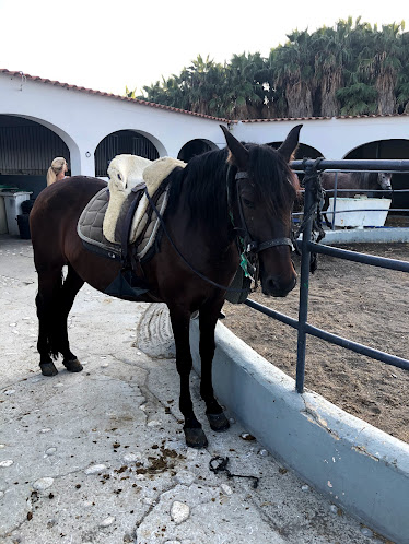 Club Hipico Almayate S L