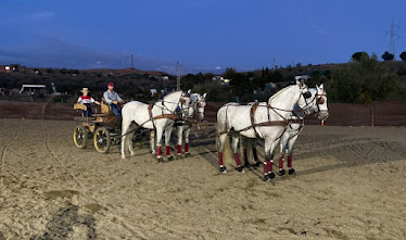 Centro Ecuestre La Aljaima