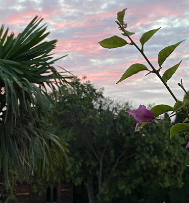 El Santuario – Caballos Arte Musica