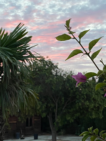 El Santuario – Caballos Arte Musica