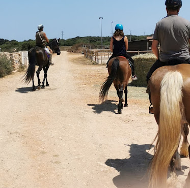 Menorca Horse Riding