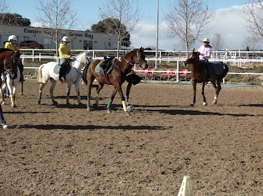Center Equestre Green Bay