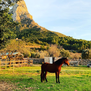 Campito Colonia Sant Pere