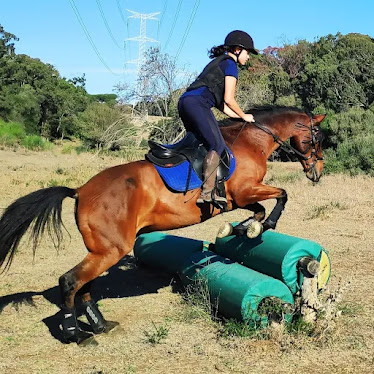 Club De Equitacion Natural