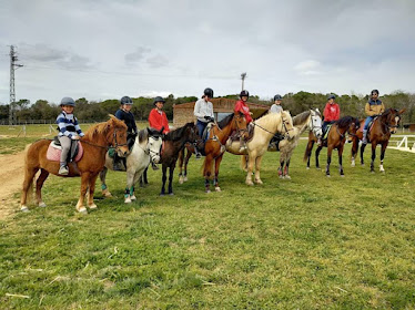 CLUB HiPIC OMEGA GIRONA