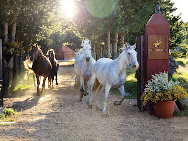 Equiberia – Horse Riding Holidays in Spain