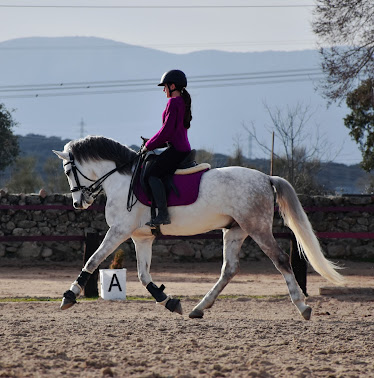 CENTRO HIPICO FUENTE ALAMO