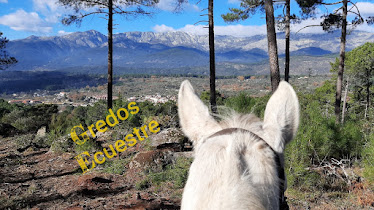 Paseos y Rutas a caballo Gredos Ecuestre